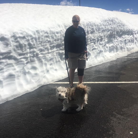 Meet your Posher, Lisa - Picture 5 of 10